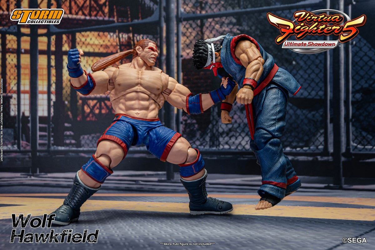 PRE-ORDER Virtua Fighter 5: Ultimate Showdown - Wolf Hawkfield