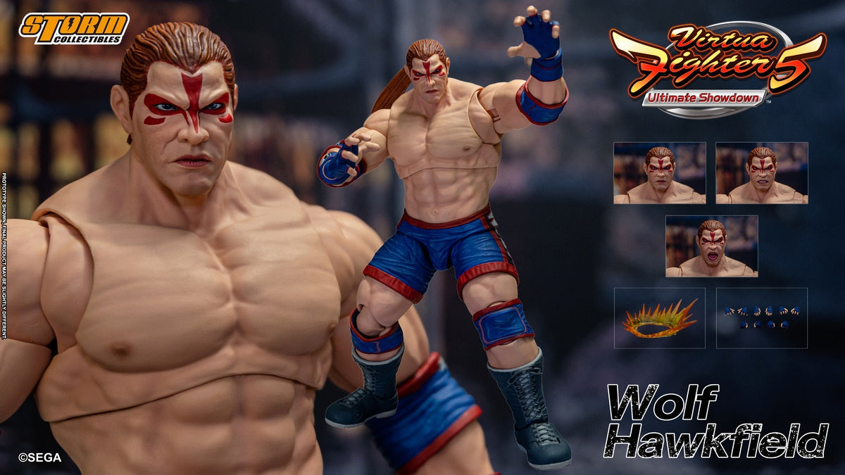 PRE-ORDER Virtua Fighter 5: Ultimate Showdown - Wolf Hawkfield