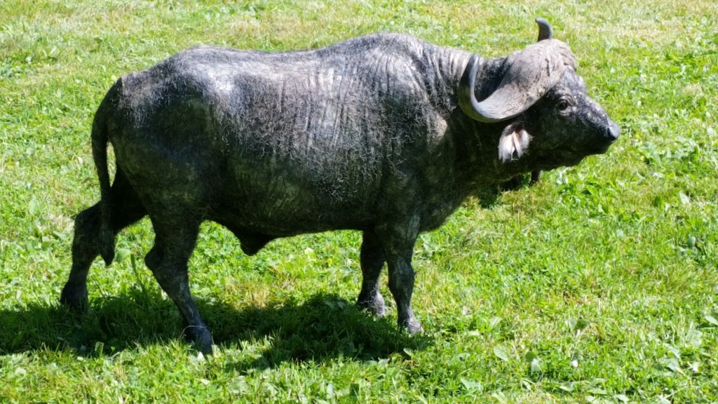 PRE-ORDER JXK - Baby Hippo 1/6