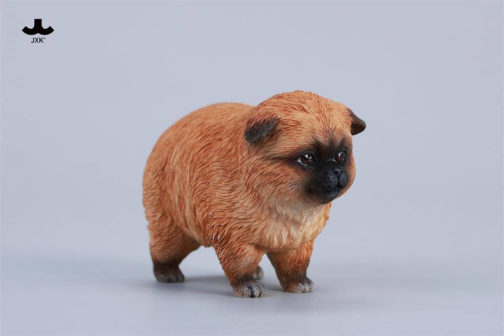 PRE-ORDER JXK - Dada the Yellow Pomeranian 1/6