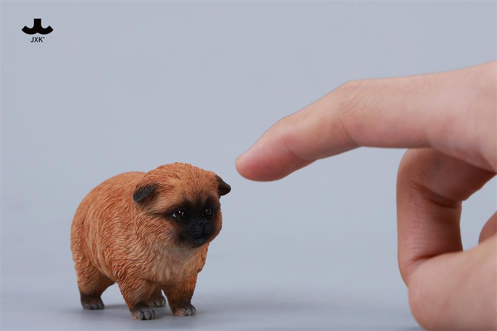 PRE-ORDER JXK - Dada the Yellow Pomeranian 1/6