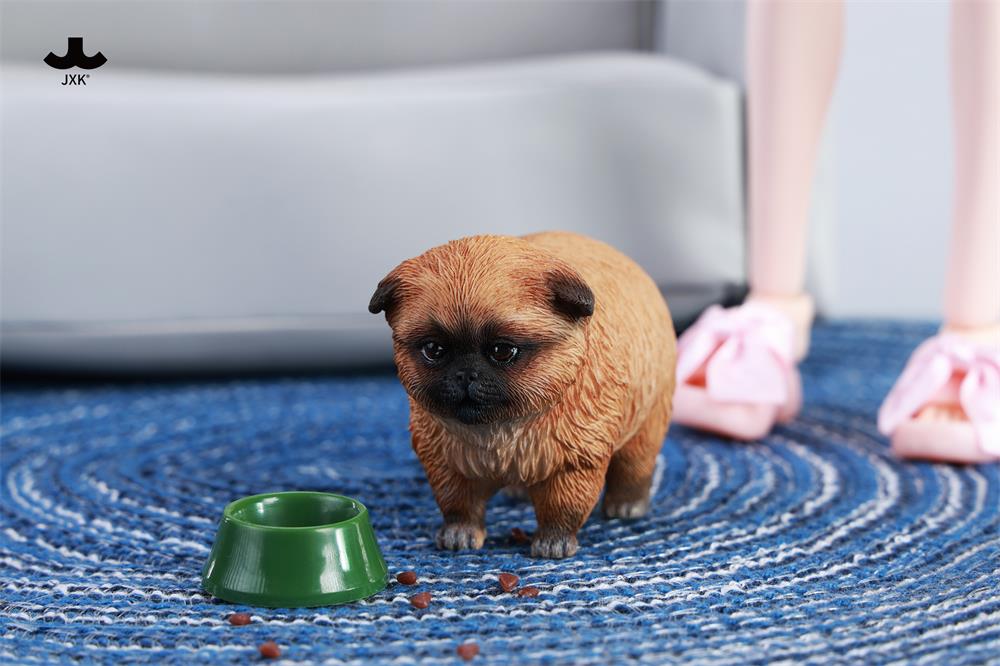 PRE-ORDER JXK - Dada the Yellow Pomeranian 1/6