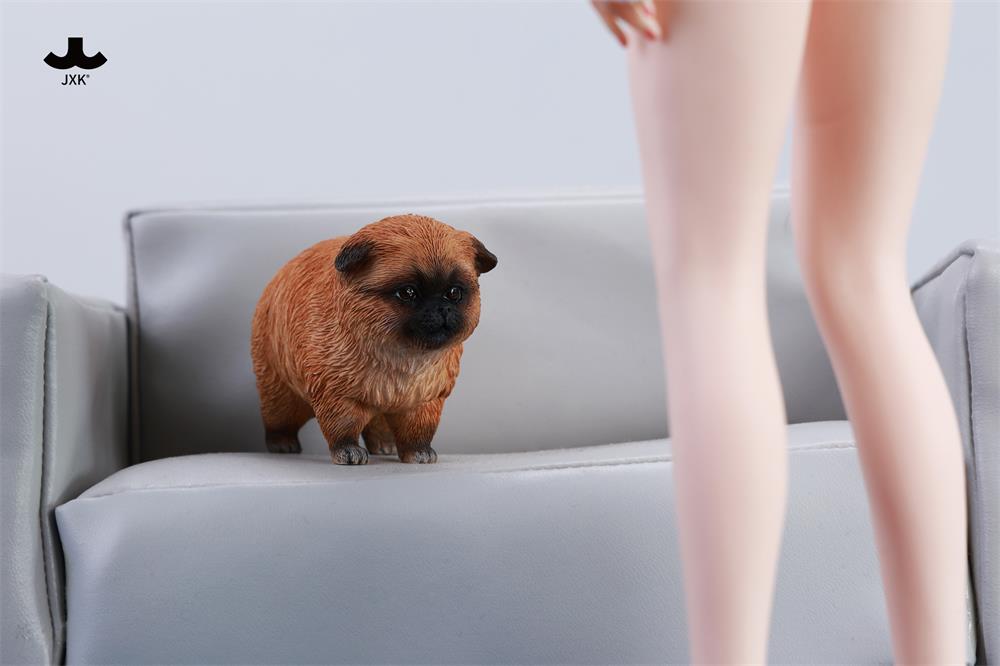 PRE-ORDER JXK - Dada the Yellow Pomeranian 1/6