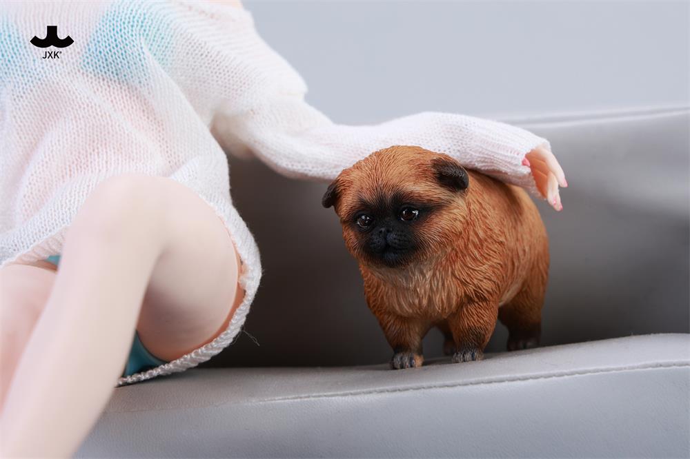 PRE-ORDER JXK - Dada the Yellow Pomeranian 1/6