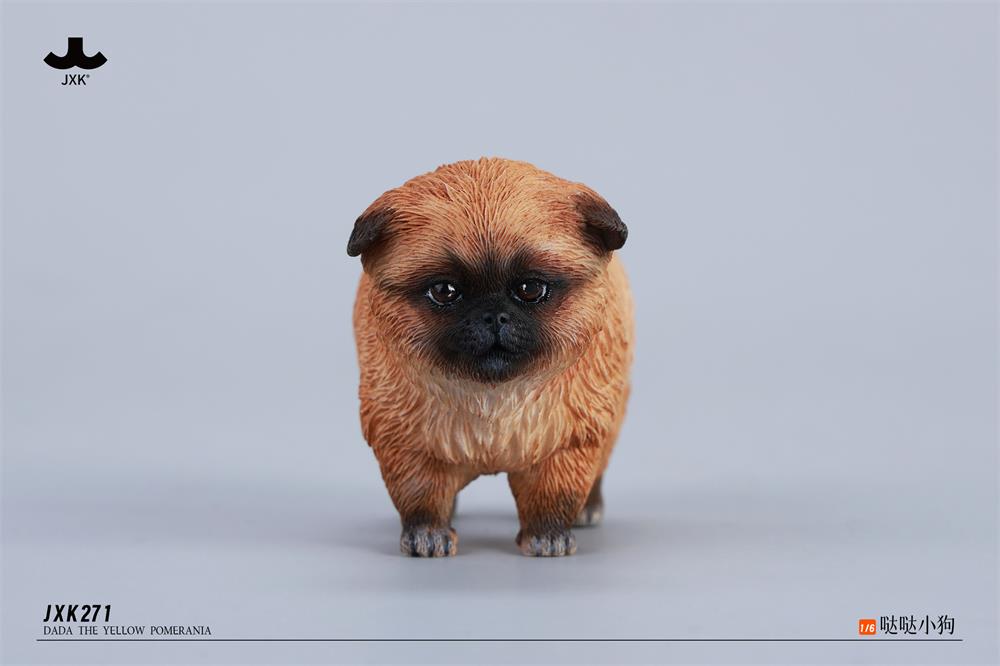 PRE-ORDER JXK - Dada the Yellow Pomeranian 1/6