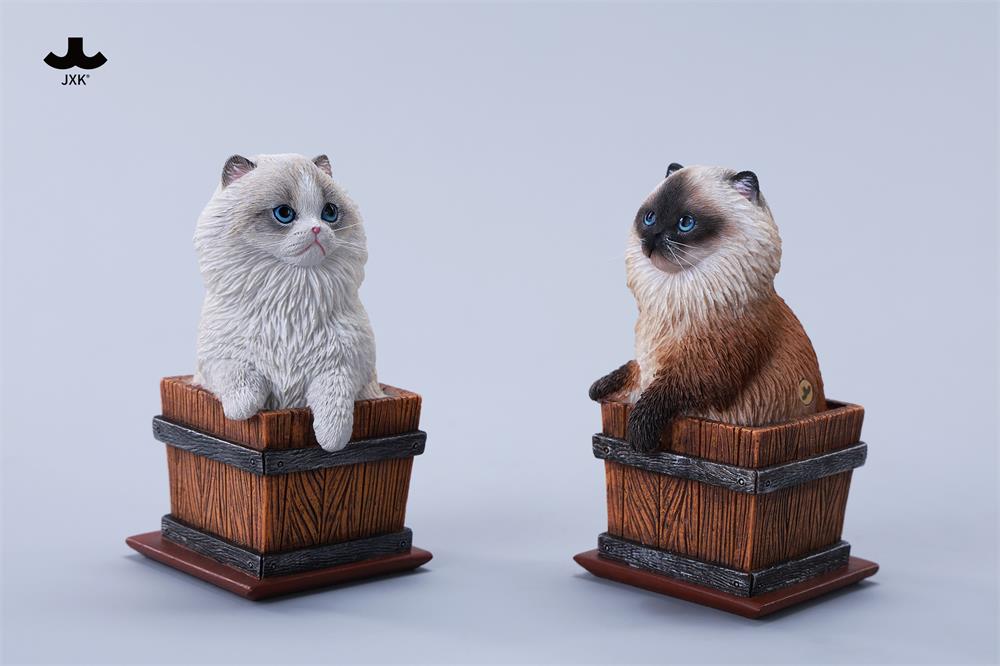 PRE-ORDER JXK - Timber Box Cat D 1/6