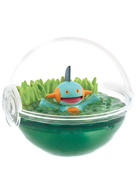 SPECIAL ORDER Pokémon Series - Terrarium Collection 12 [Box of 6] [JP]