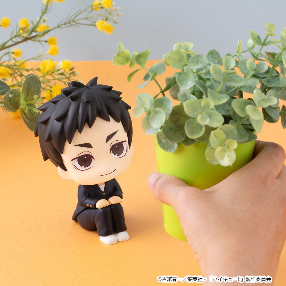 PRE-ORDER MegaHouse - Look Up - Haikyu!! - Daichi Sawamura and Koushi Sugawara Set [EXCLUSIVE]