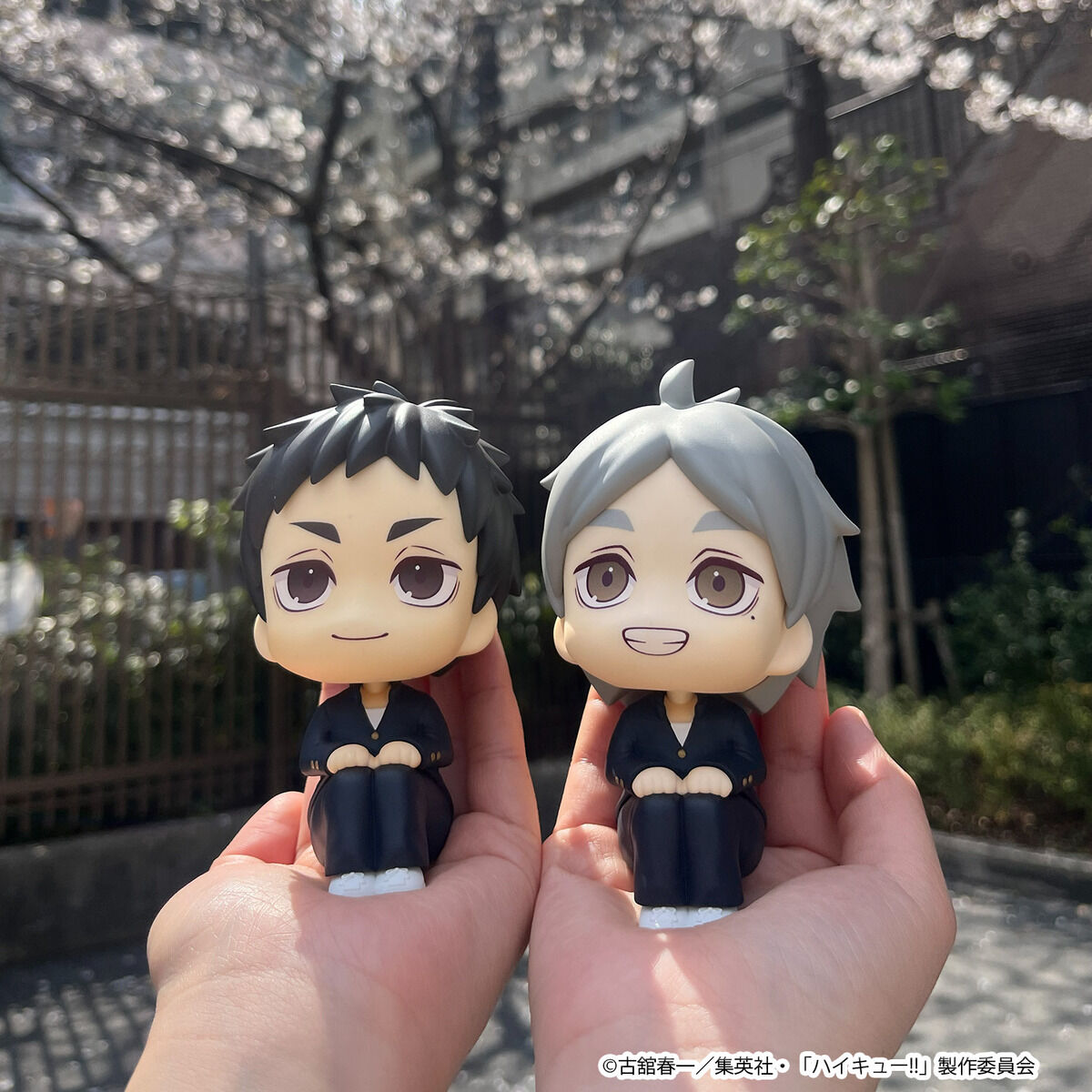 PRE-ORDER MegaHouse - Look Up - Haikyu!! - Daichi Sawamura and Koushi Sugawara Set [EXCLUSIVE]