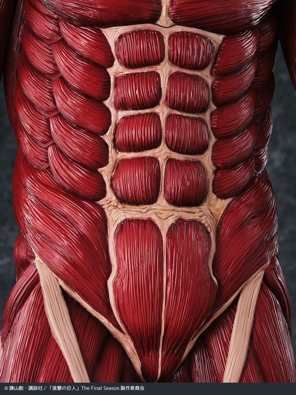 Kaiyodo - Mega Soft Vinyl - Attack on Titan - Colossal Titan