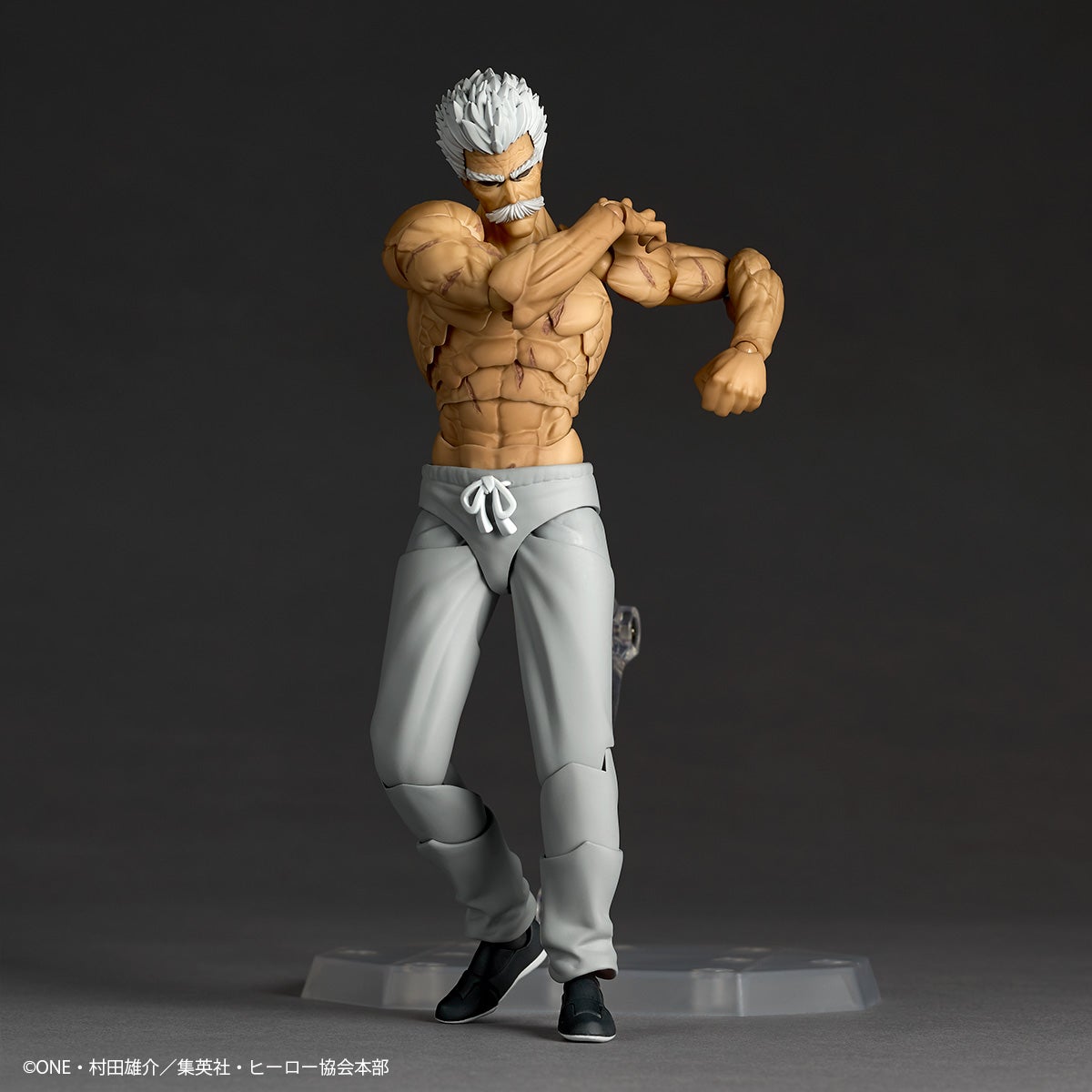 SPECIAL ORDER Kaiyodo - Revoltech Amazing Yamaguchi - One-Punch Man - Silver Fang [EXCLUSIVE]
