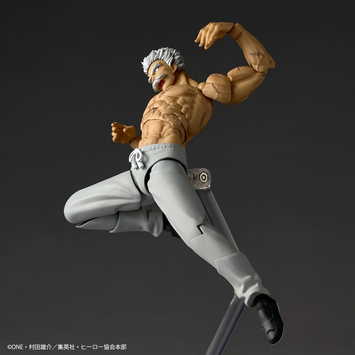 SPECIAL ORDER Kaiyodo - Revoltech Amazing Yamaguchi - One-Punch Man - Silver Fang [EXCLUSIVE]