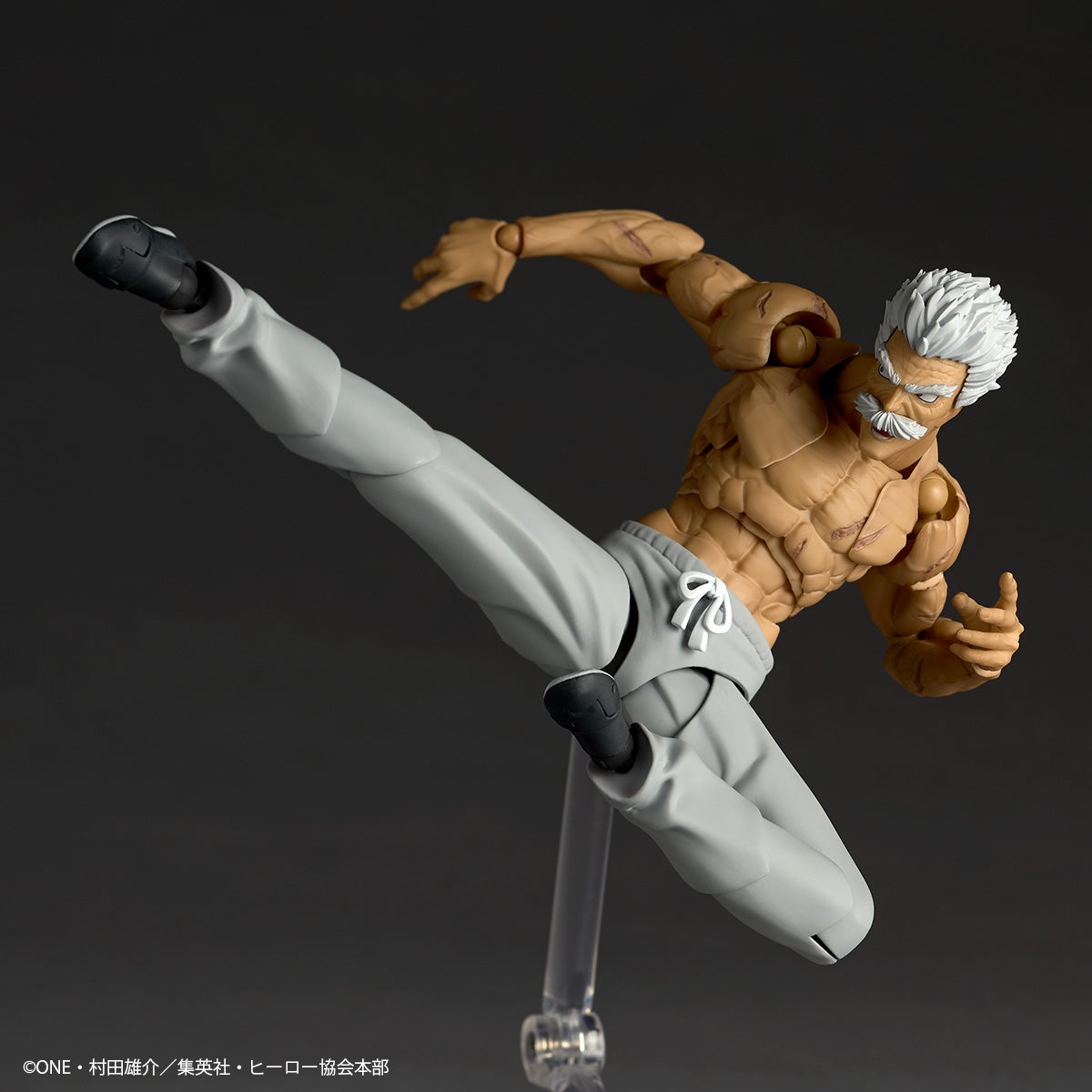 SPECIAL ORDER Kaiyodo - Revoltech Amazing Yamaguchi - One-Punch Man - Silver Fang [EXCLUSIVE]