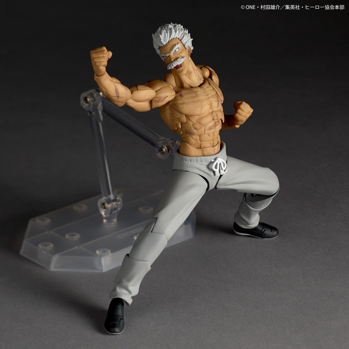SPECIAL ORDER Kaiyodo - Revoltech Amazing Yamaguchi - One-Punch Man - Silver Fang [EXCLUSIVE]