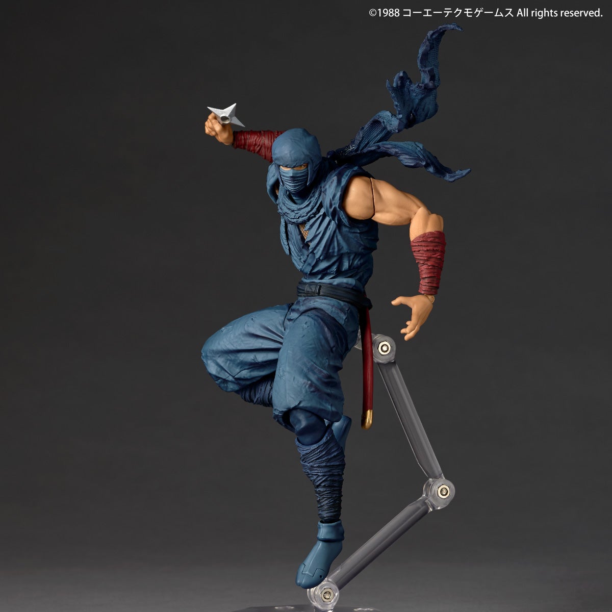 SPECIAL ORDER Kaiyodo - Revoltech Amazing Yamaguchi - Ninja Gaiden - Ryu Hayabusa [EXCLUSIVE]