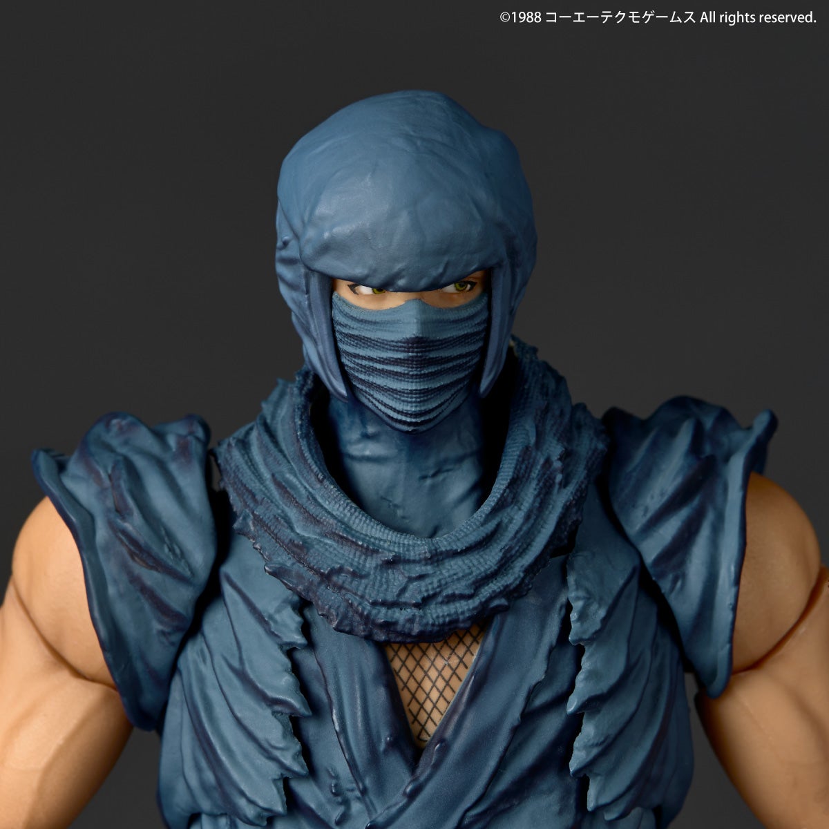 SPECIAL ORDER Kaiyodo - Revoltech Amazing Yamaguchi - Ninja Gaiden - Ryu Hayabusa [JP]