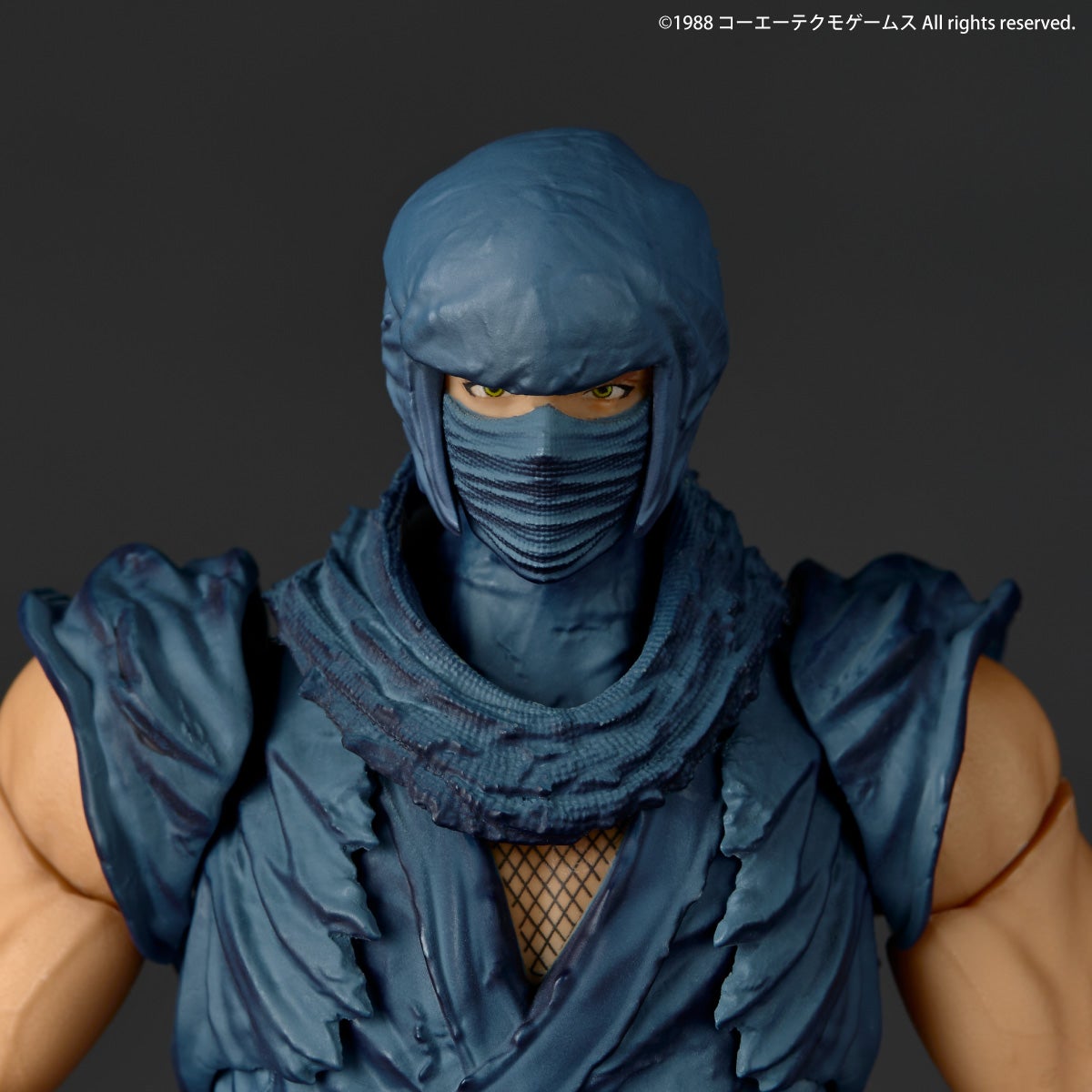 SPECIAL ORDER Kaiyodo - Revoltech Amazing Yamaguchi - Ninja Gaiden - Ryu Hayabusa [JP]