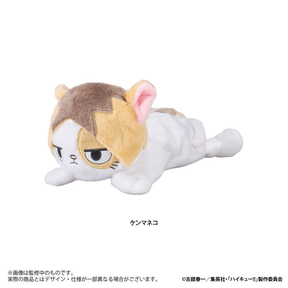 SPECIAL ORDER Eyeup - Haikyuu!! Plush Pen Pouch - Kenma Cat [JP]