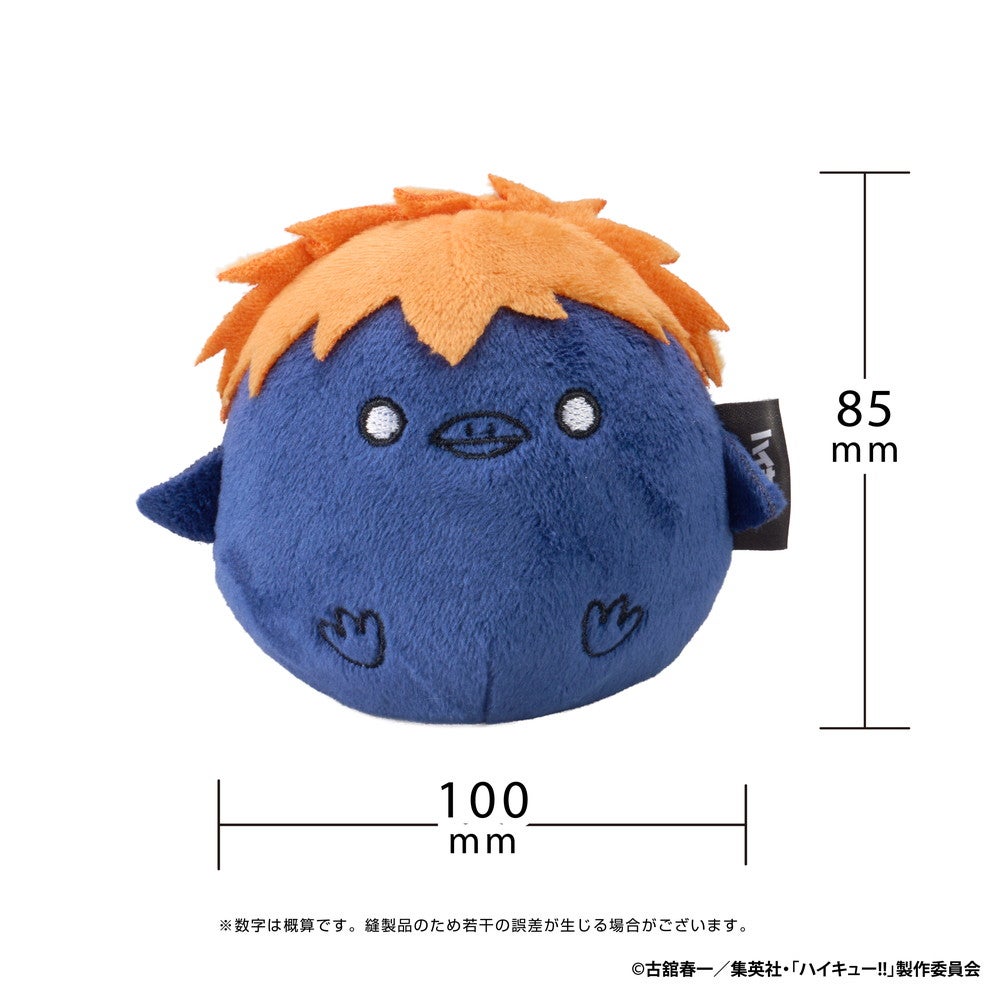 SPECIAL ORDER Eyeup - Haikyuu!! NuiKoron - Hinata Crow [JP]