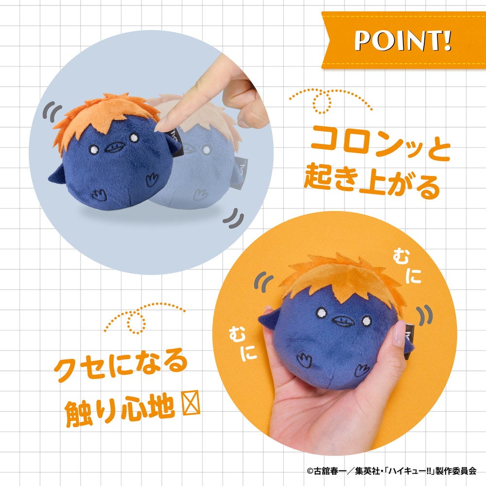 SPECIAL ORDER Eyeup - Haikyuu!! NuiKoron - Hinata Crow [JP]