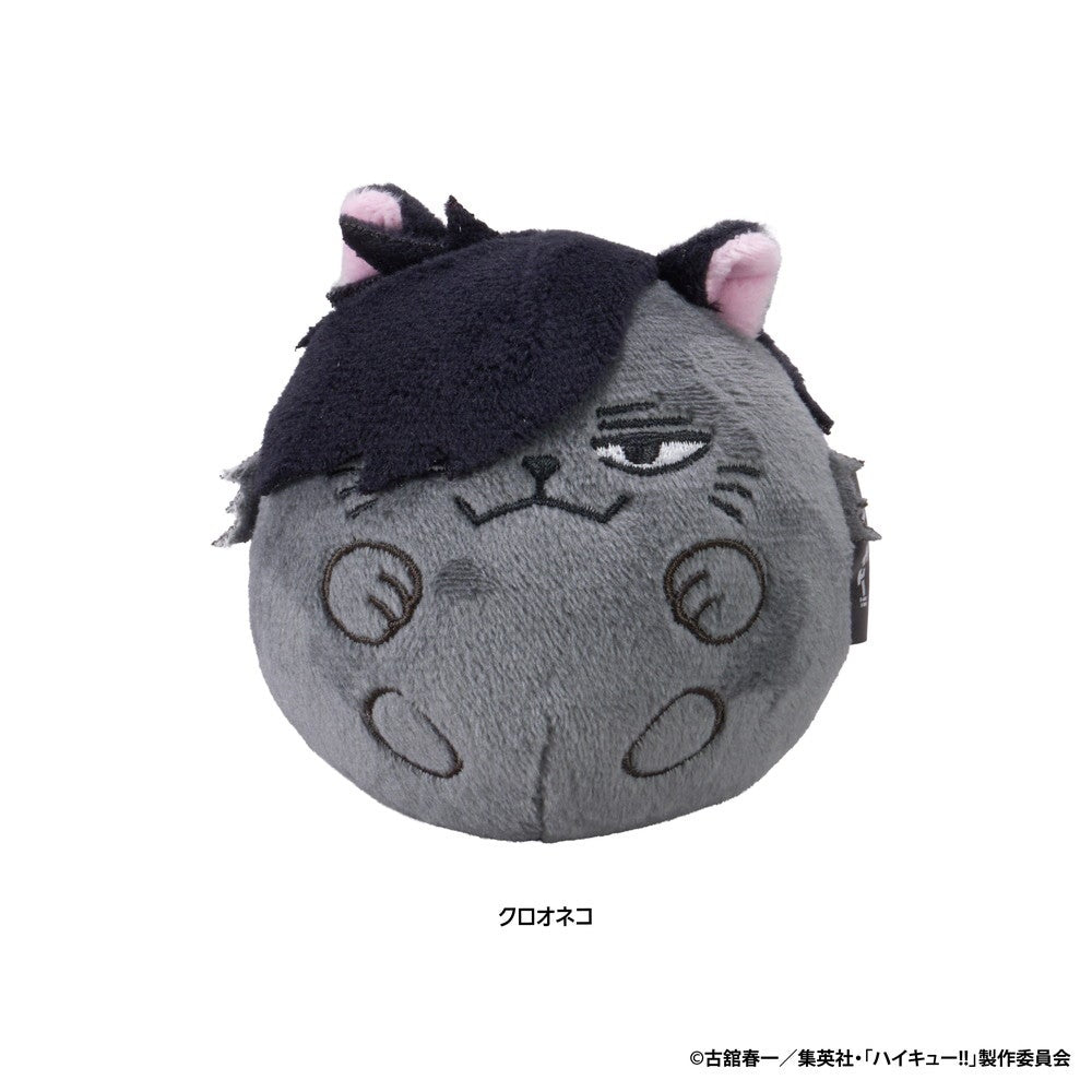SPECIAL ORDER Eyeup - Haikyuu!! NuiKoron - Kuroo Cat [JP]