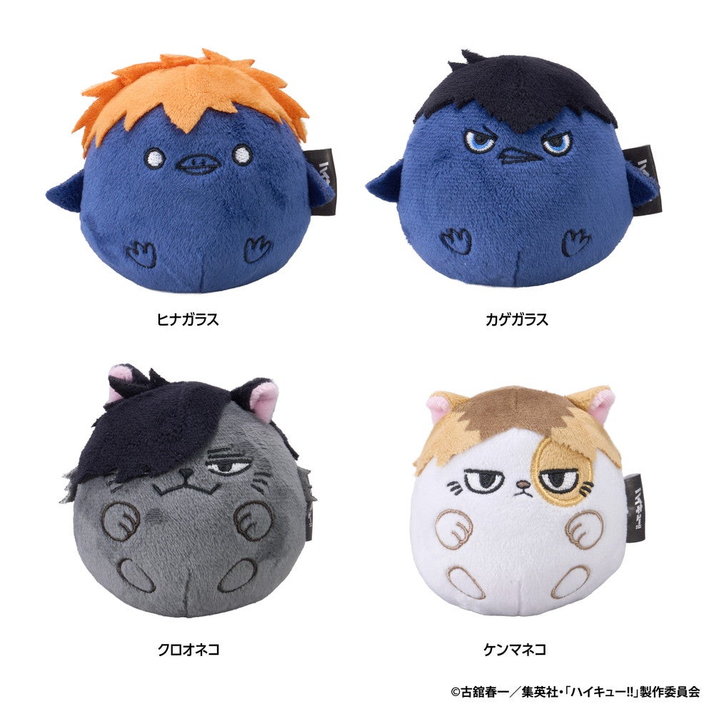 SPECIAL ORDER Eyeup - Haikyuu!! NuiKoron - Kuroo Cat [JP]