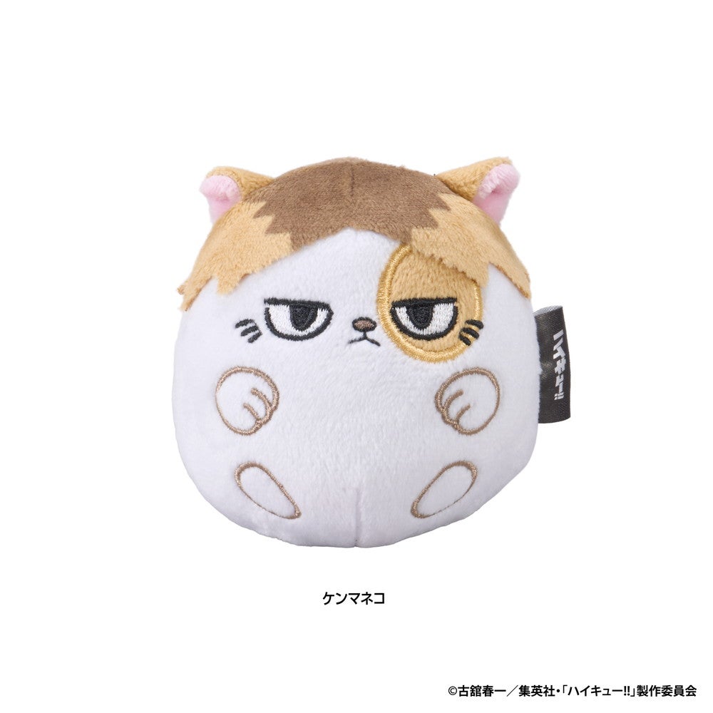 SPECIAL ORDER Eyeup - Haikyuu!! NuiKoron - Kenma Cat [JP]