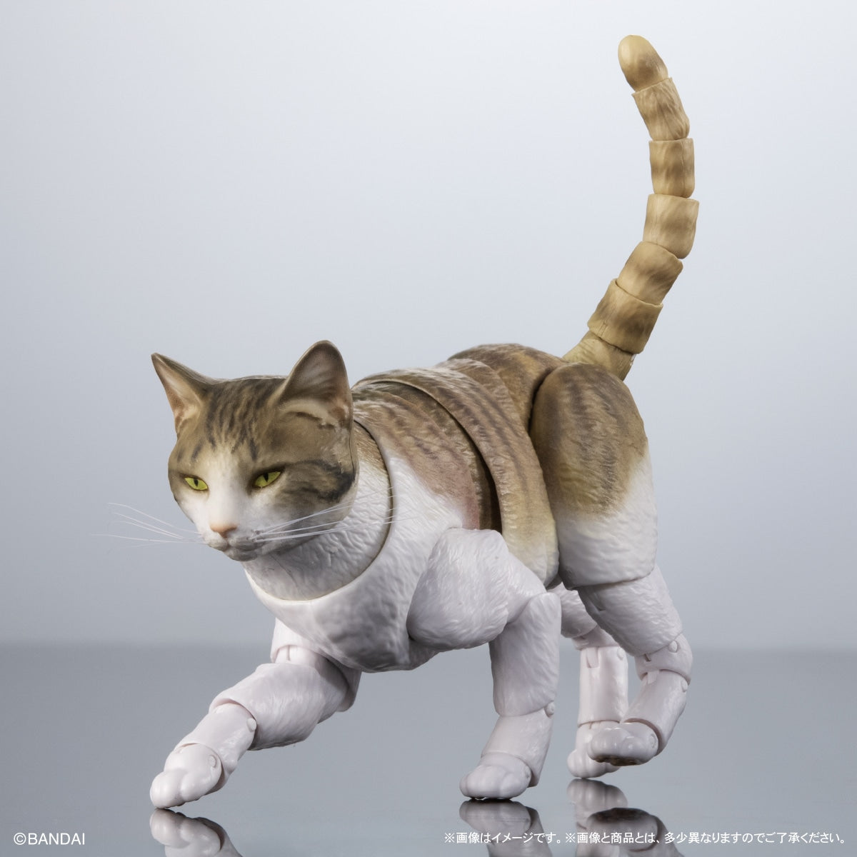 SPECIAL ORDER Bandai - The Diversity of Life on Earth Premium - Cat: Brown Tabby and White [GOL EXCLUSIVE]