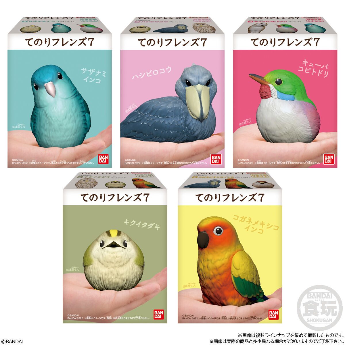 PRE-ORDER Bandai - Te-Nori Friends Vol.7