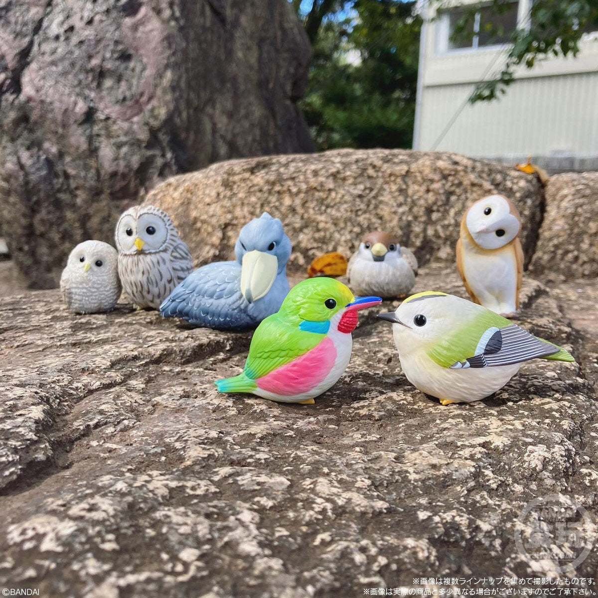 PRE-ORDER Bandai - Te-Nori Friends Vol.7