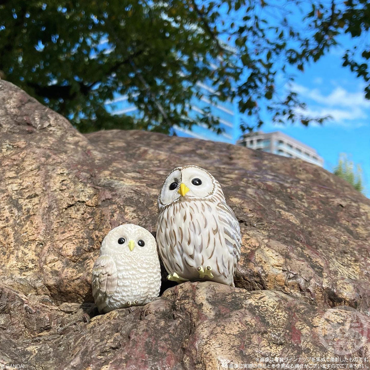 PRE-ORDER Bandai - Te-Nori Friends Vol.7