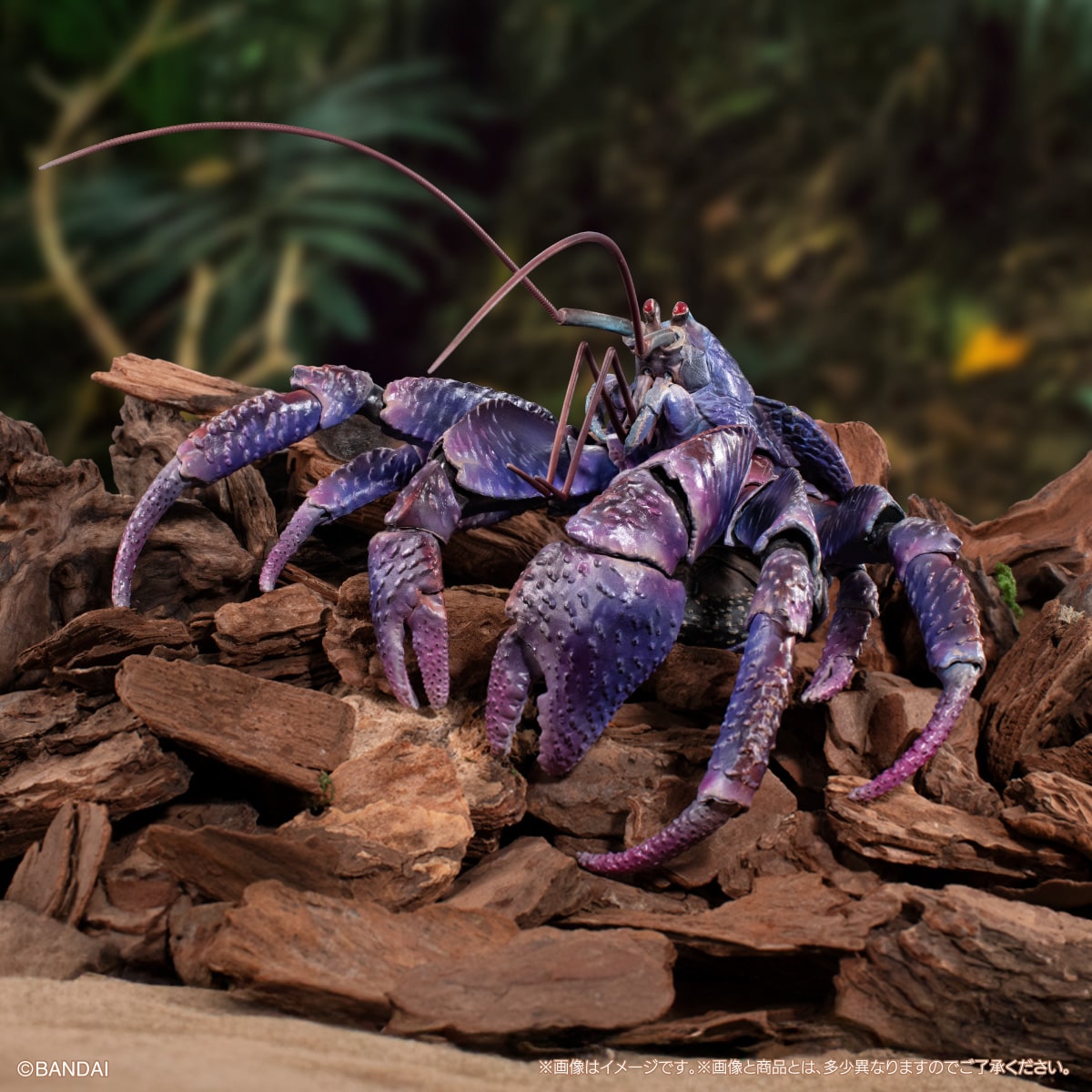 PRE-ORDER Bandai - The Diversity of Life on Earth Premium - Coconut Crab (Birgus Latro): Purple Color [GOL EXCLUSIVE]