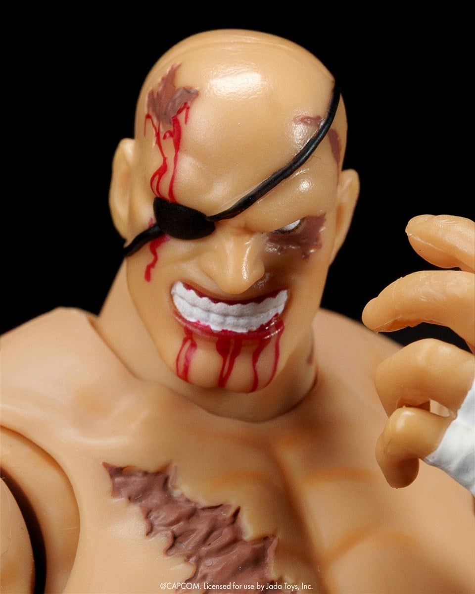 SPECIAL ORDER Jada Toys - Ultra Street Fighter II - You Lose Accessory Kit [JP]