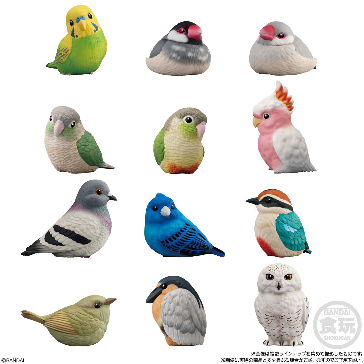 PRE-ORDER Bandai - Tenori Friends 10 [Box of 12]
