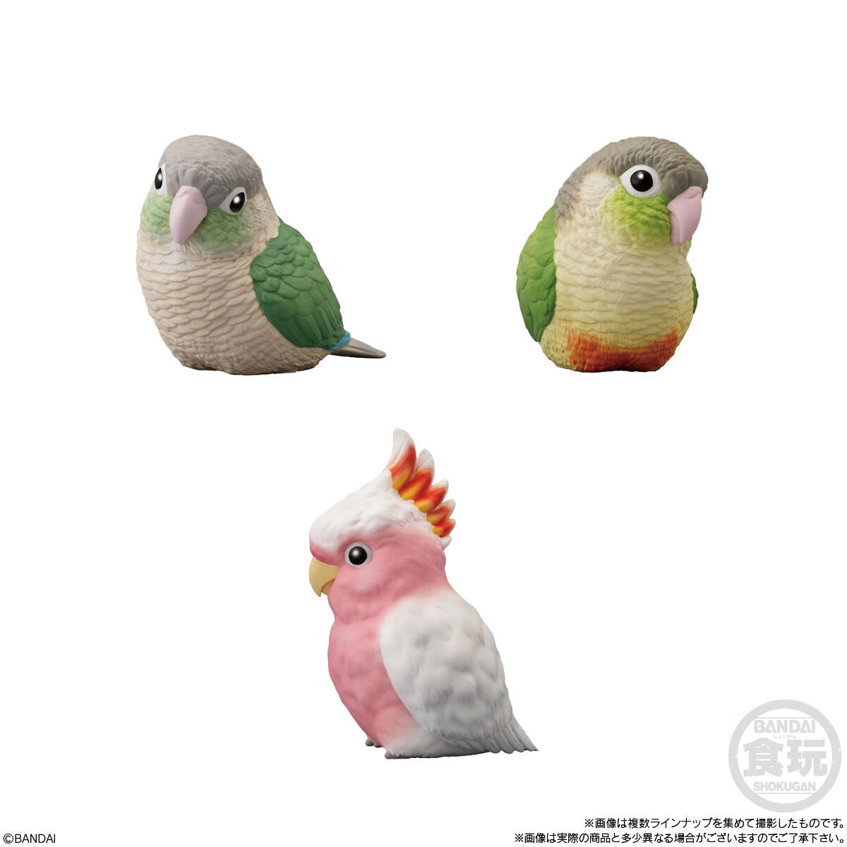 PRE-ORDER Bandai - Tenori Friends 10 [Box of 12]