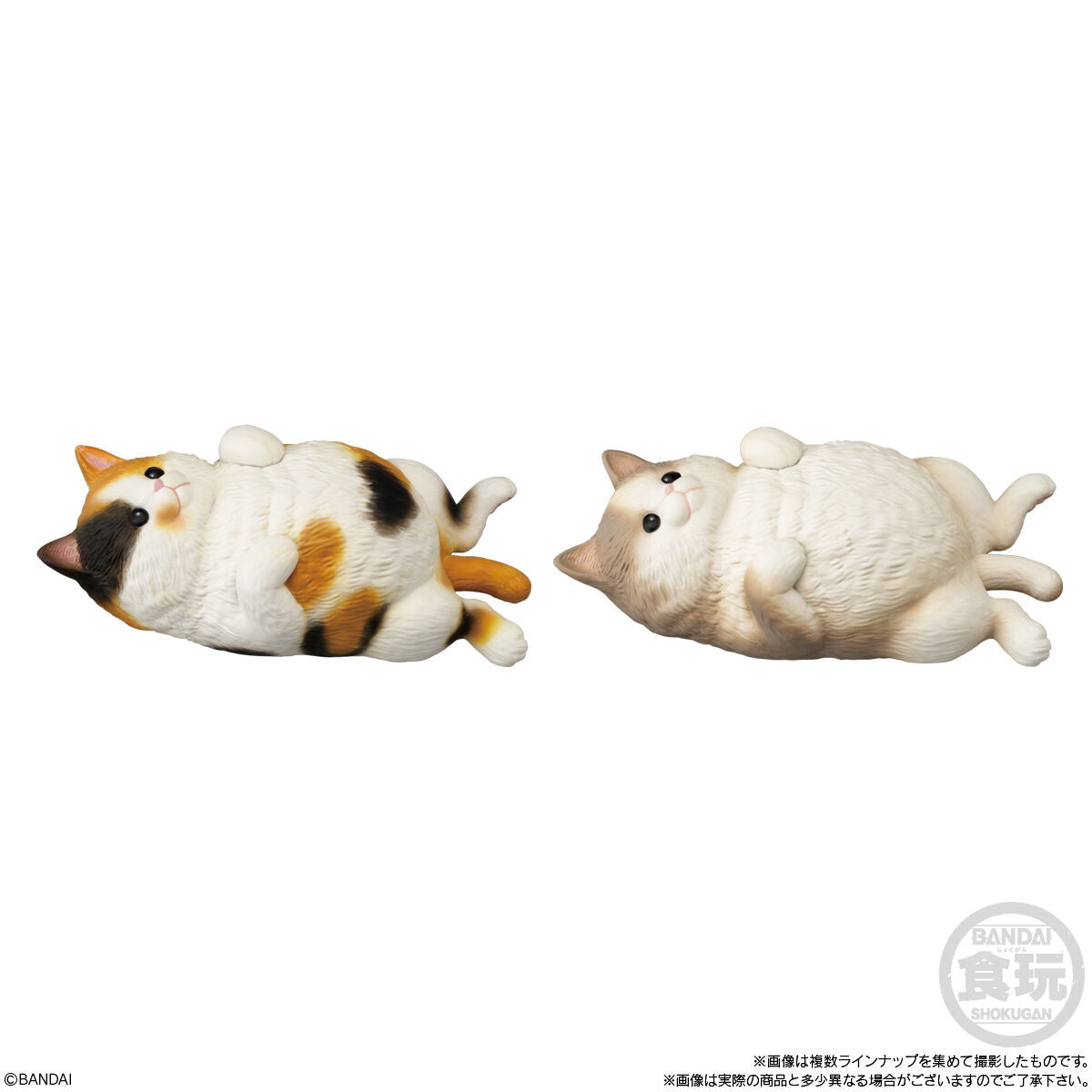 PRE-ORDER Bandai - Mocchiri Kokorin ♪ Cat [January 2027] [Box of 12]