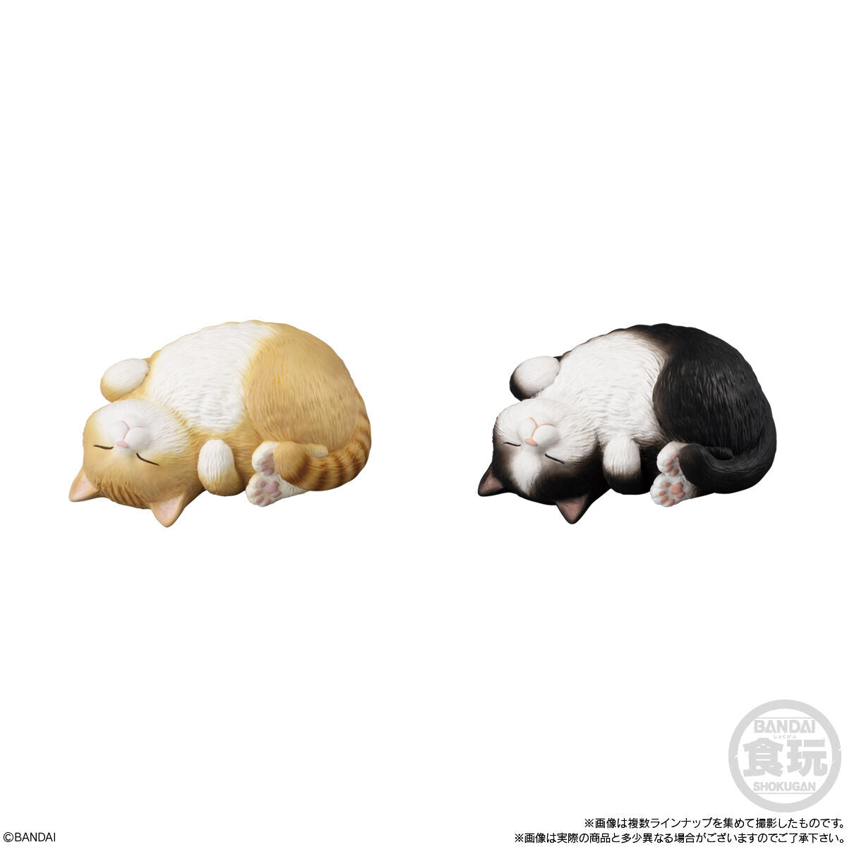 PRE-ORDER Bandai - Mocchiri Kokorin ♪ Cat [January 2027] [Box of 12]