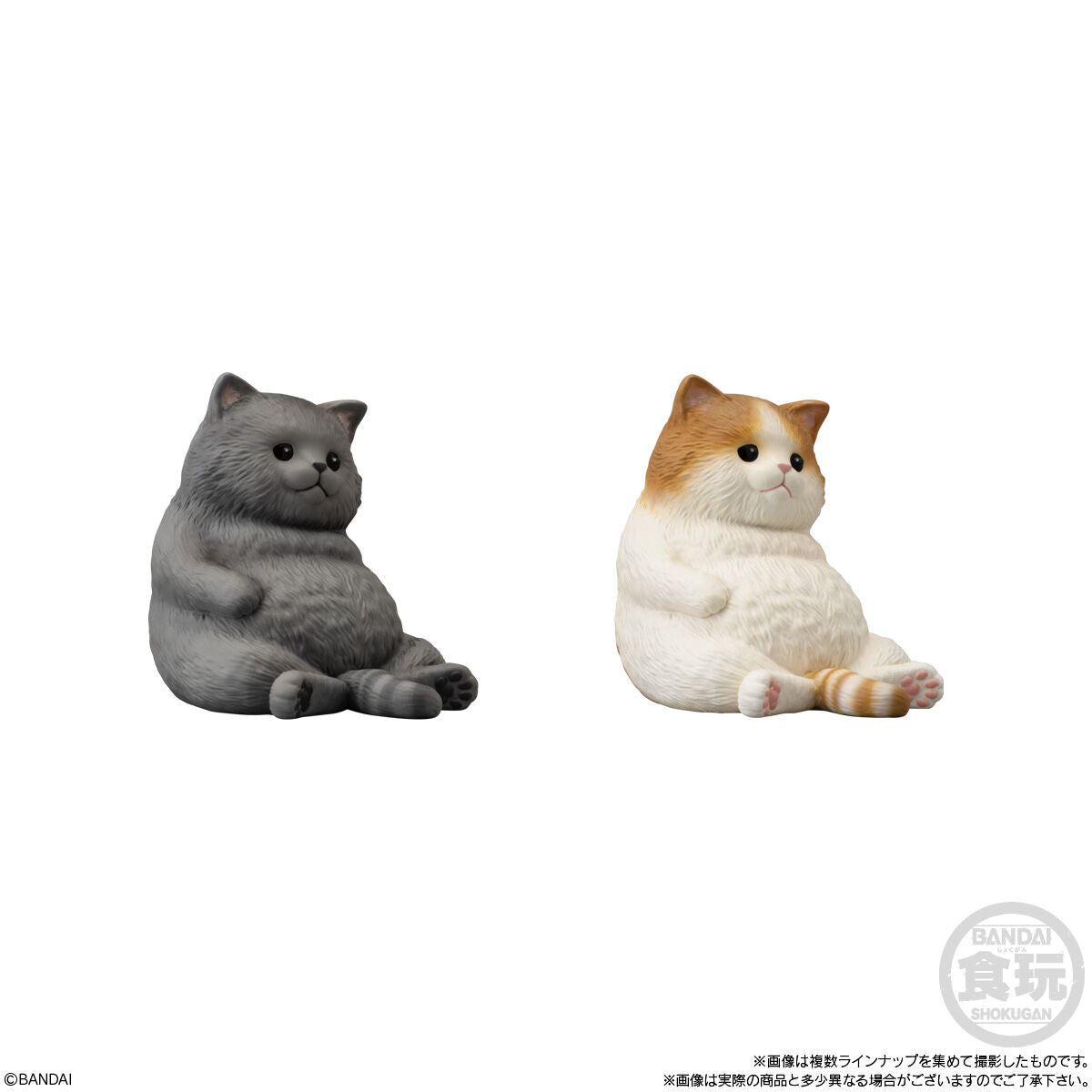 PRE-ORDER Bandai - Mocchiri Kokorin ♪ Cat [January 2027] [Box of 12]