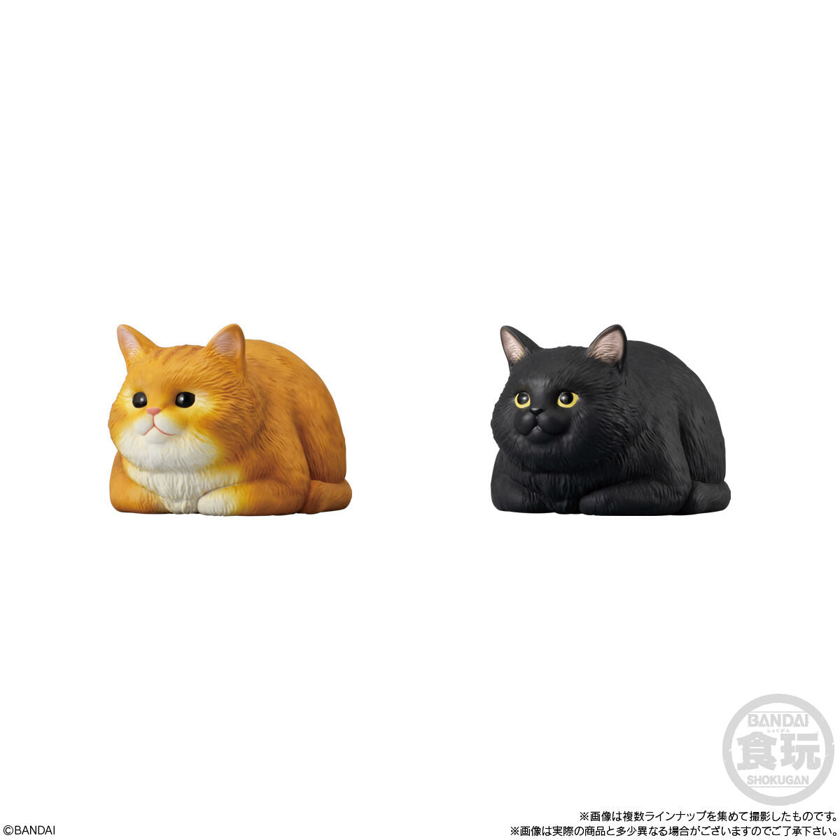 PRE-ORDER Bandai - Mocchiri Kokorin ♪ Cat [January 2027] [Box of 12]