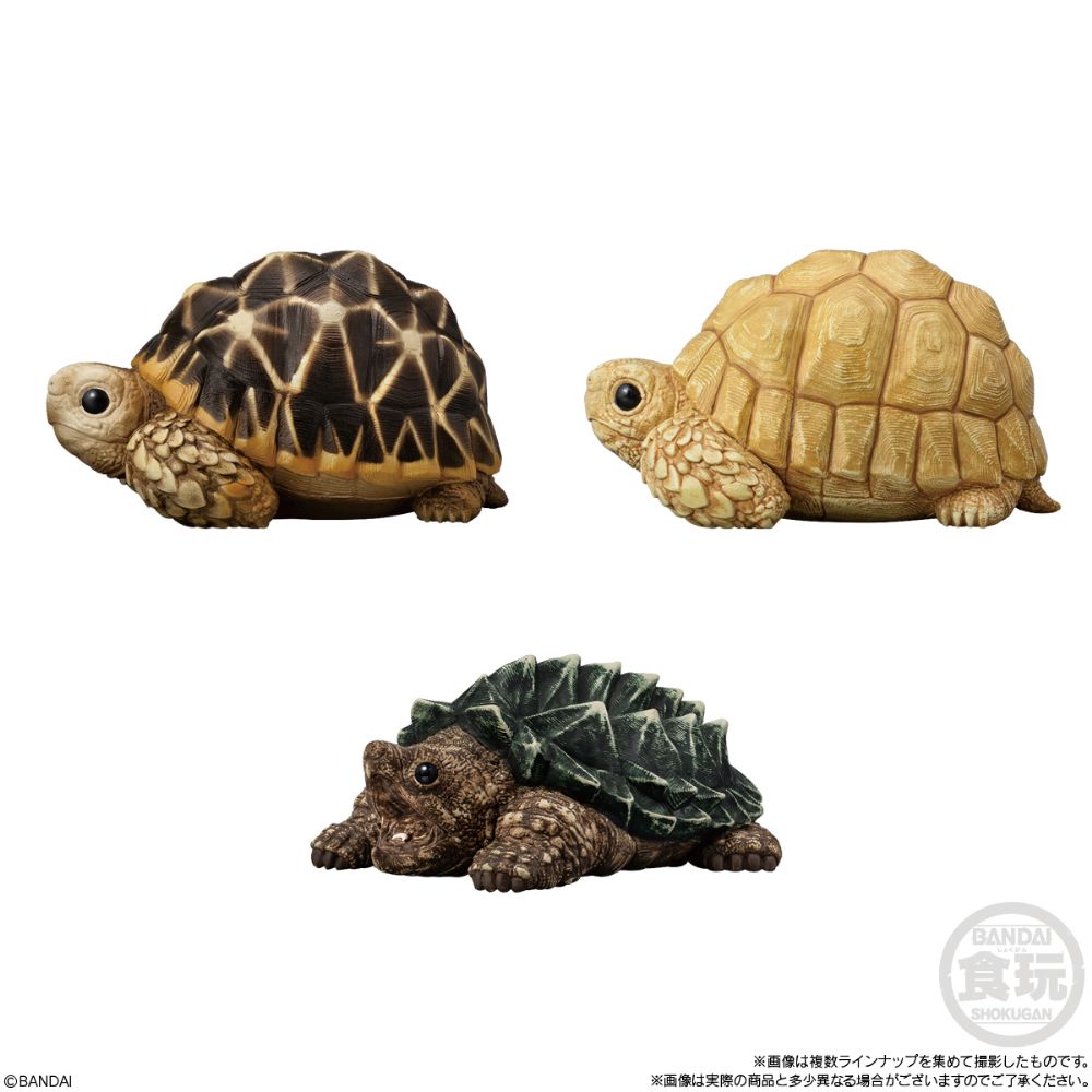 PRE-ORDER Bandai - Te-nori Friends 12 - Reptlies & Amphibians [Box of 12]