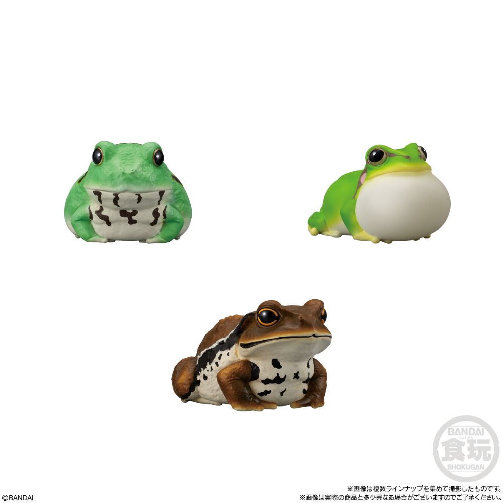 PRE-ORDER Bandai - Te-nori Friends 12 - Reptlies & Amphibians [Box of 12]