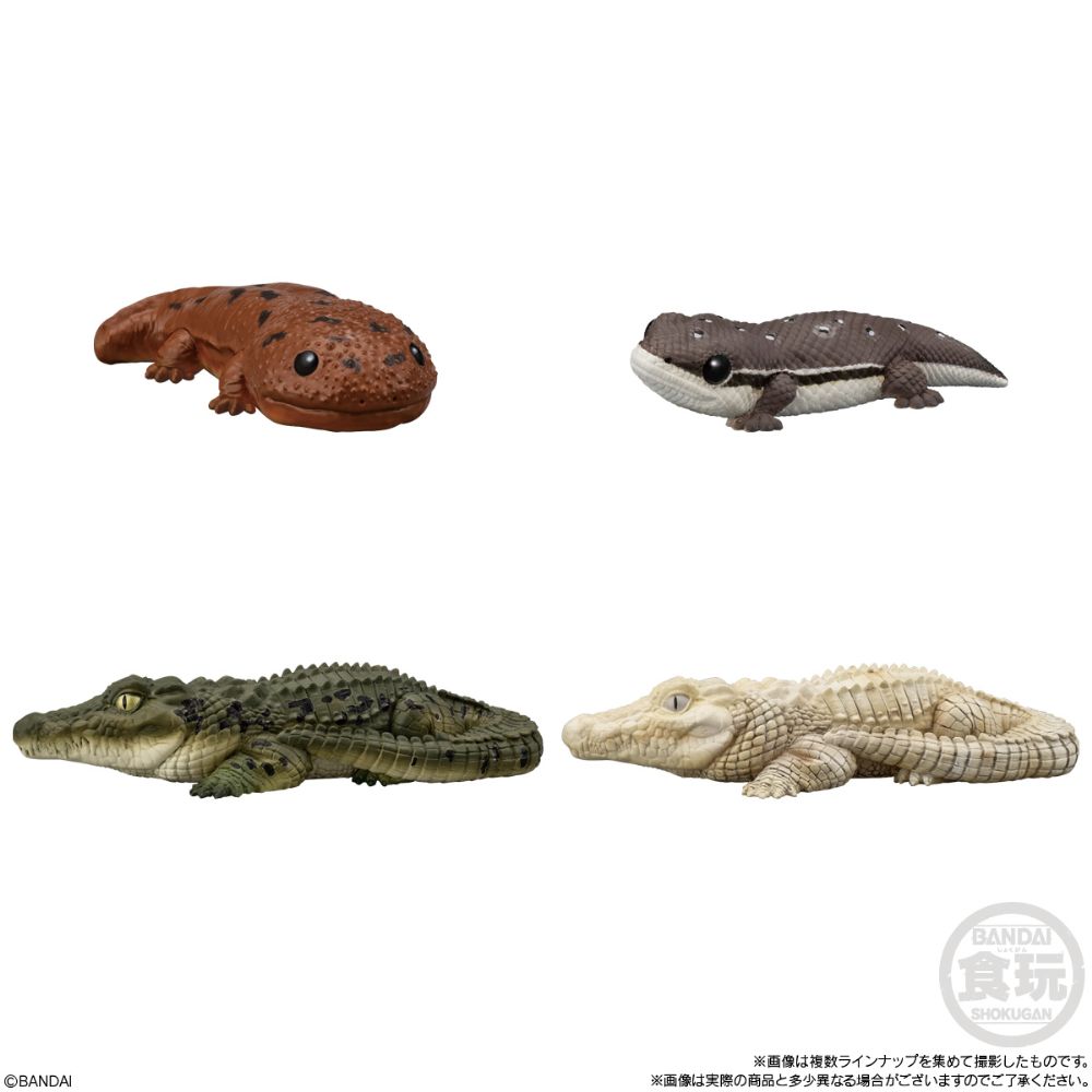 PRE-ORDER Bandai - Te-nori Friends 12 - Reptlies & Amphibians [Box of 12]