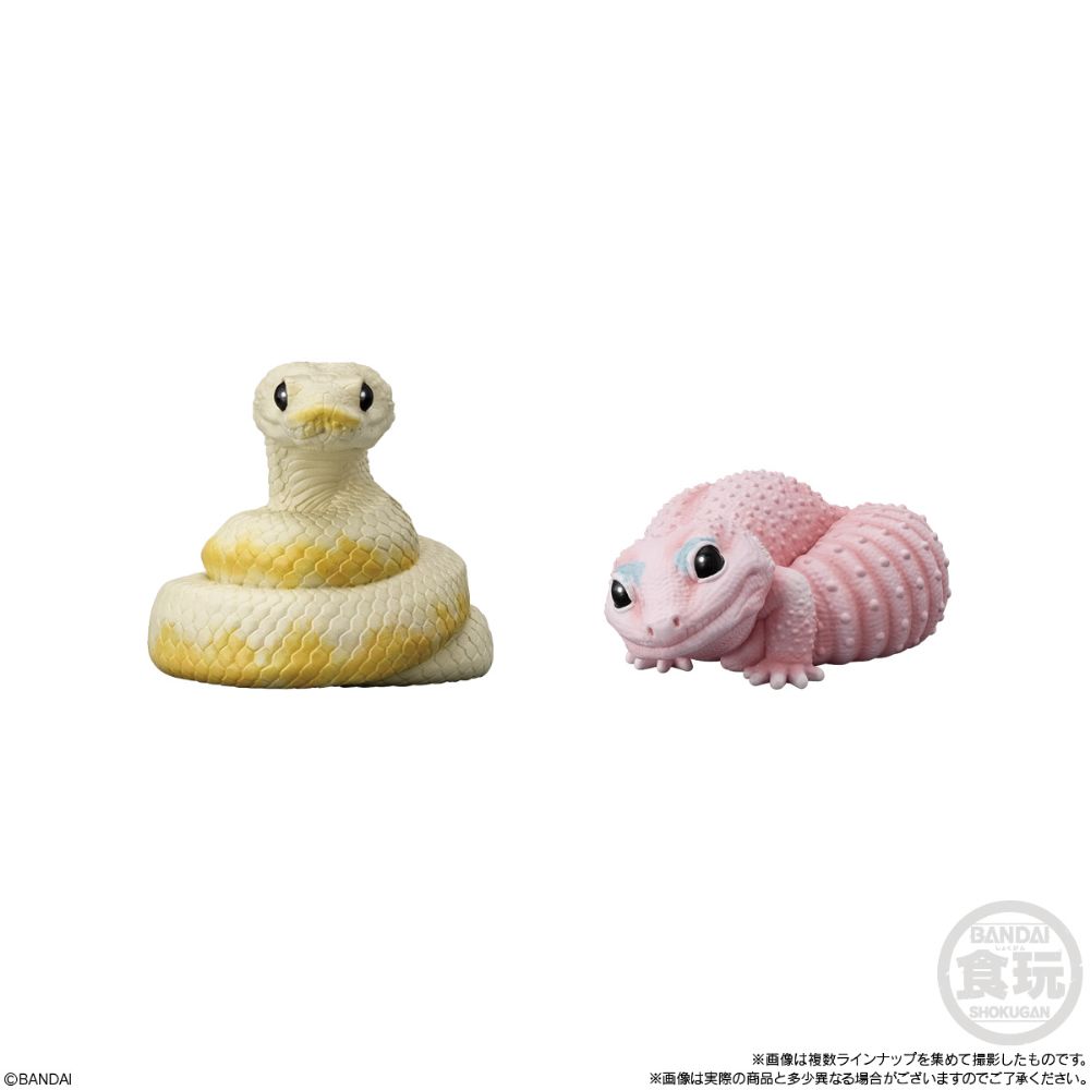 PRE-ORDER Bandai - Te-nori Friends 12 - Reptlies & Amphibians [Box of 12]