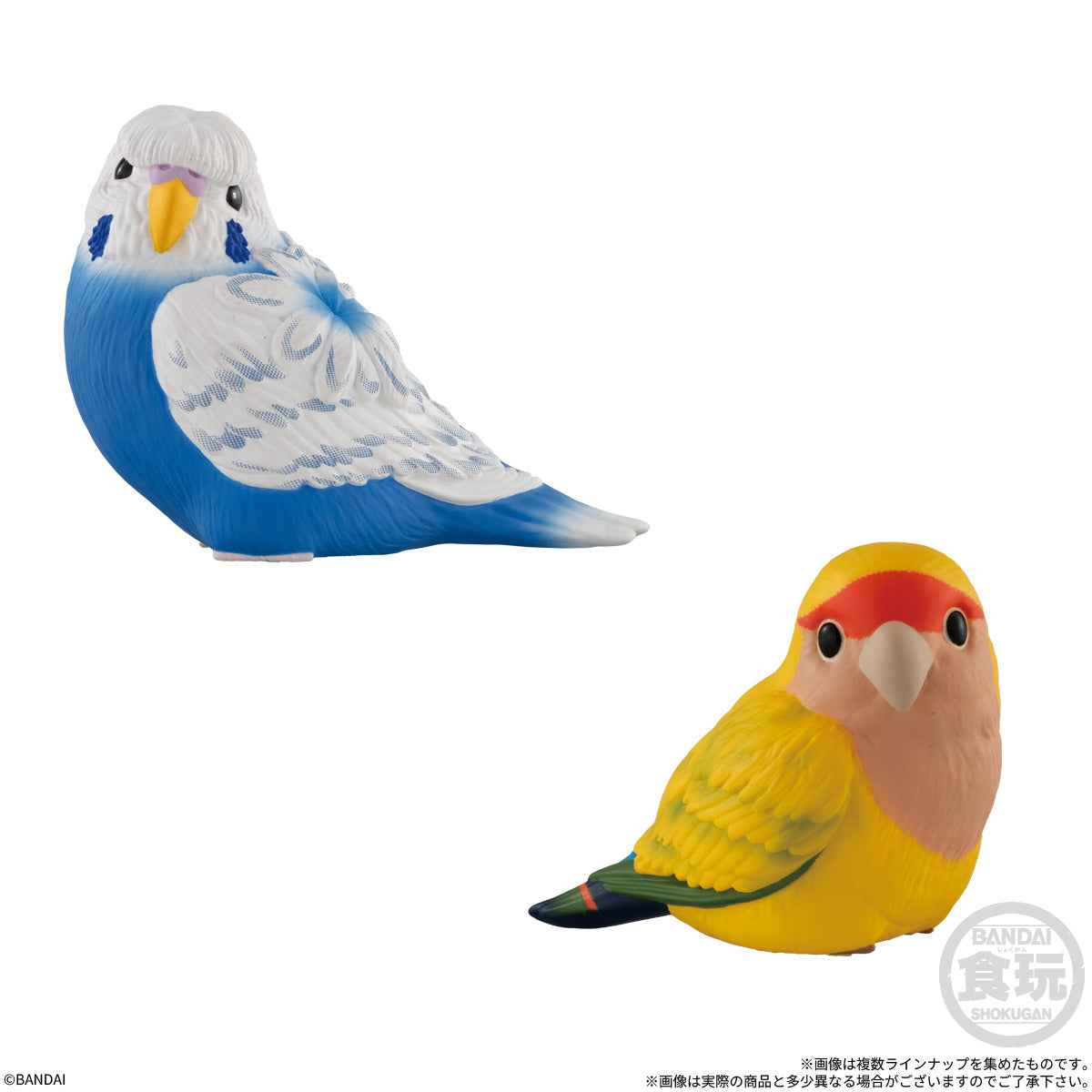 SPECIAL ORDER Bandai - Tenori Friends 13 [JP] [Box of 12]