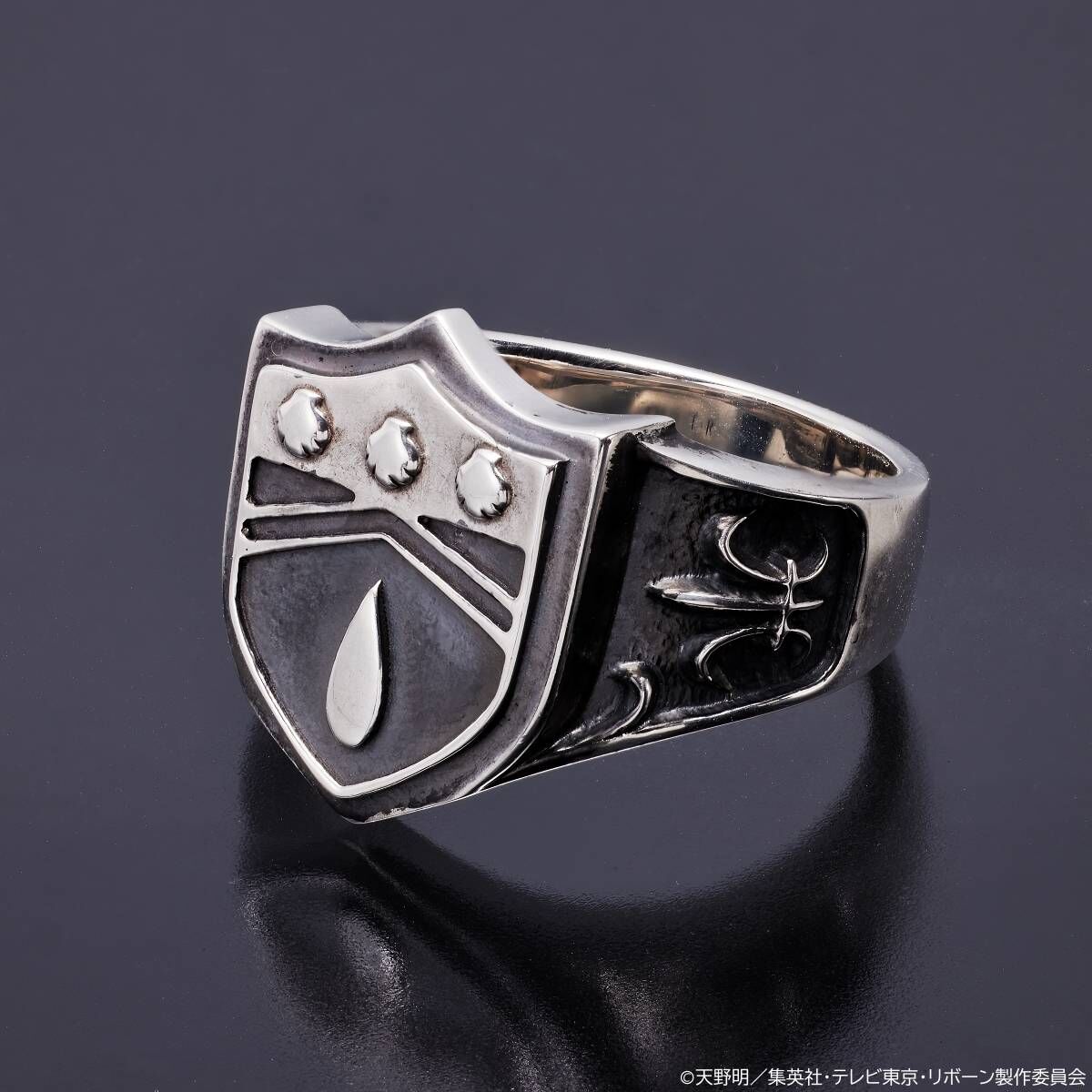 SPECIAL ORDER Bandai - BanColle! - REBORN! Vongola Ring - Rain Ring [JP]