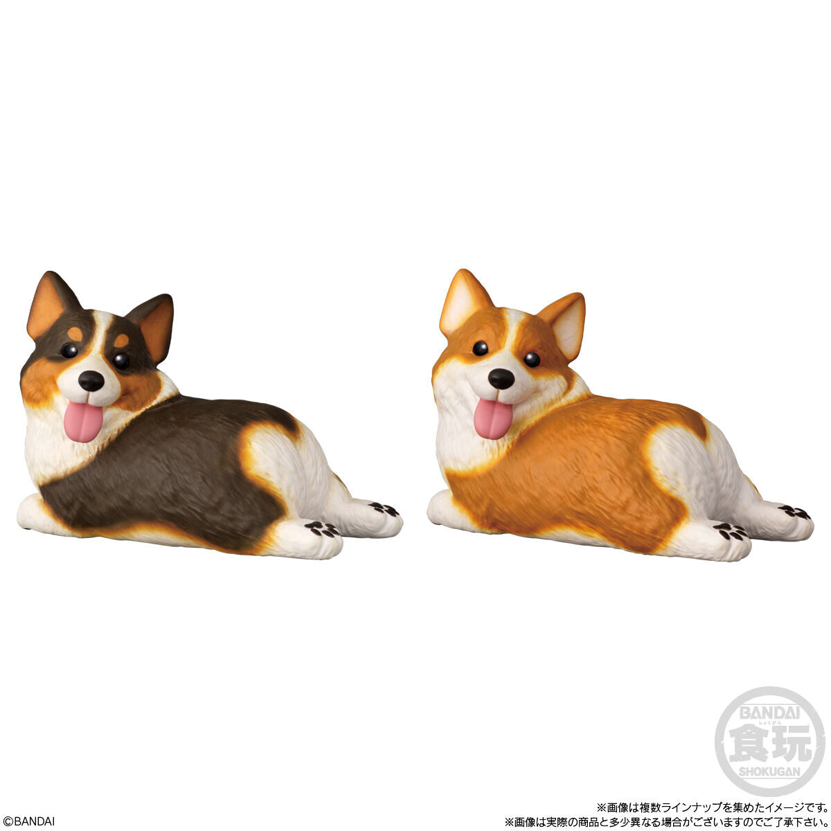PRE-ORDER Bandai - Mocchiri Kokorin ♪ Doggie [January 2027] [Box of 12]