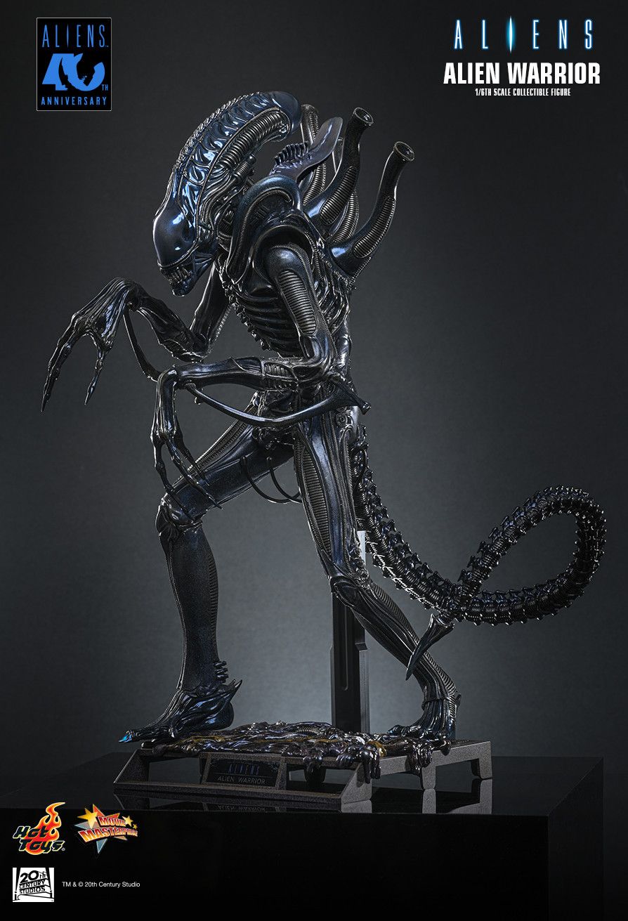 SPECIAL ORDER Hot Toys - Movie Masterpiece - Aliens - Alien Warrior: 2.0 Edition 1/6 [JP]