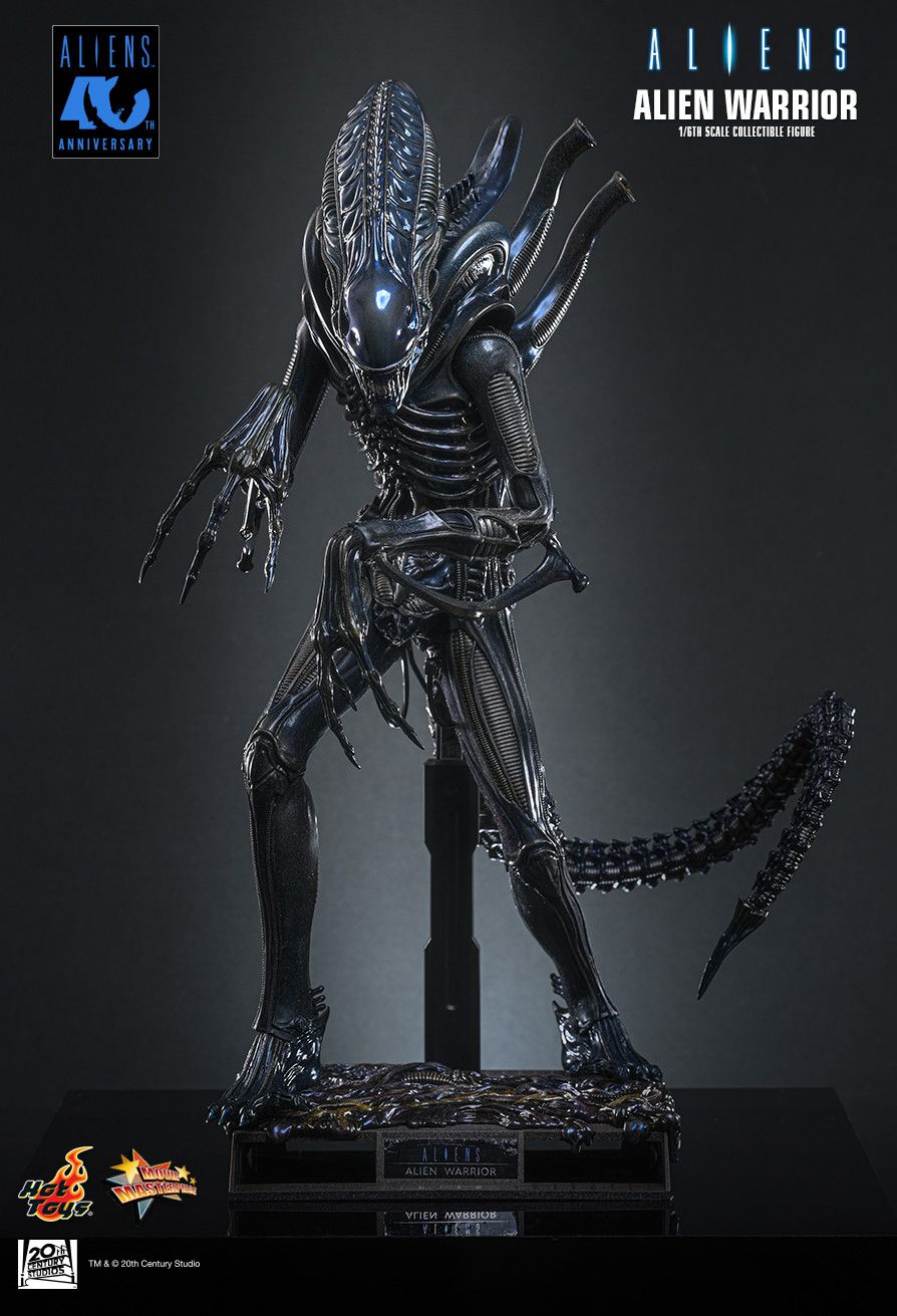 SPECIAL ORDER Hot Toys - Movie Masterpiece - Aliens - Alien Warrior: 2.0 Edition 1/6 [JP]