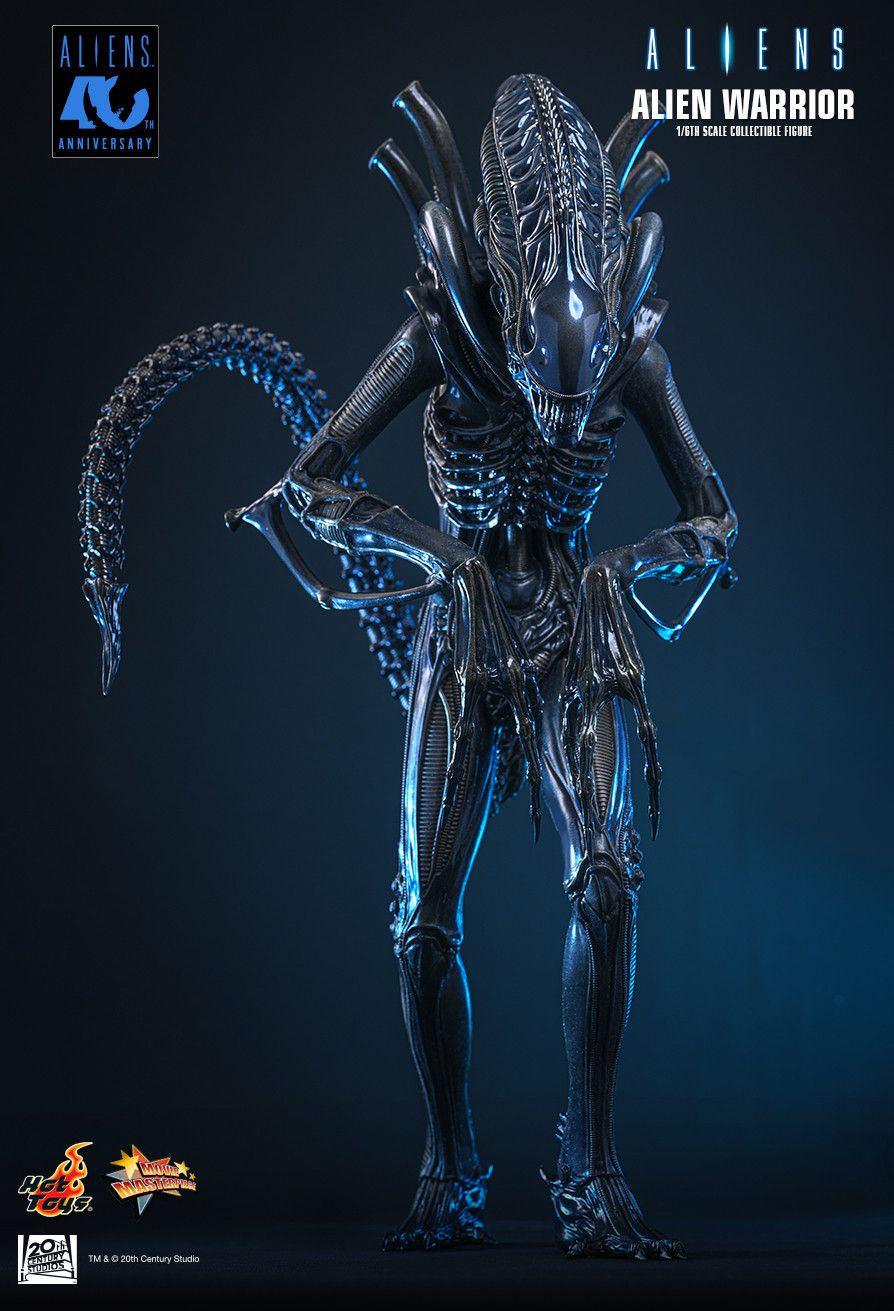 SPECIAL ORDER Hot Toys - Movie Masterpiece - Aliens - Alien Warrior: 2.0 Edition 1/6 [JP]