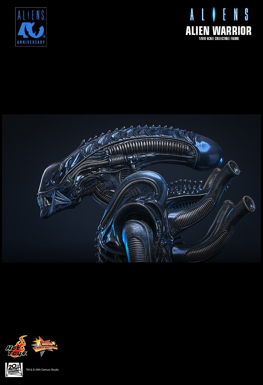 SPECIAL ORDER Hot Toys - Movie Masterpiece - Aliens - Alien Warrior: 2.0 Edition 1/6 [JP]